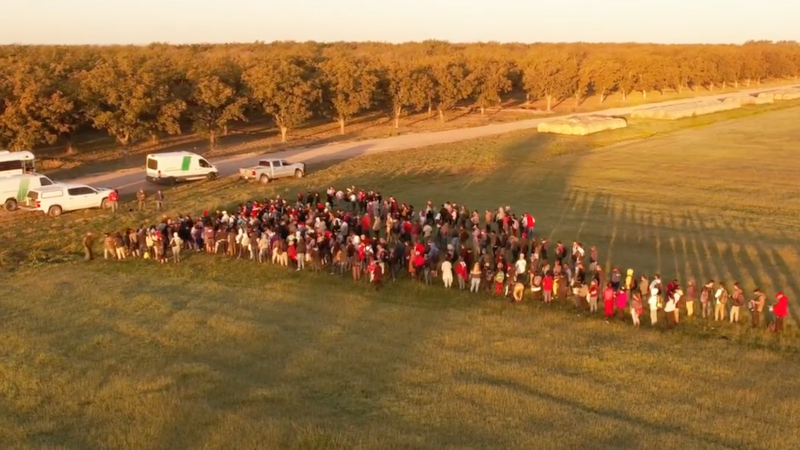 “Joe Biden Is the Best!” – Huge Groups of Illegals Slam Texas County on Election Day