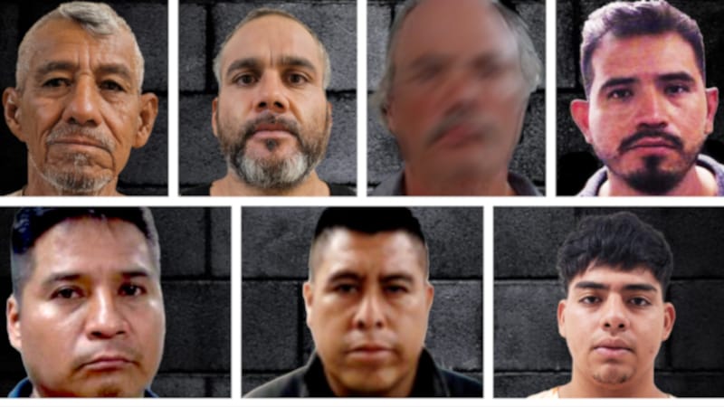 Seven Convicted Sex Predators Caught at Border Over Weekend