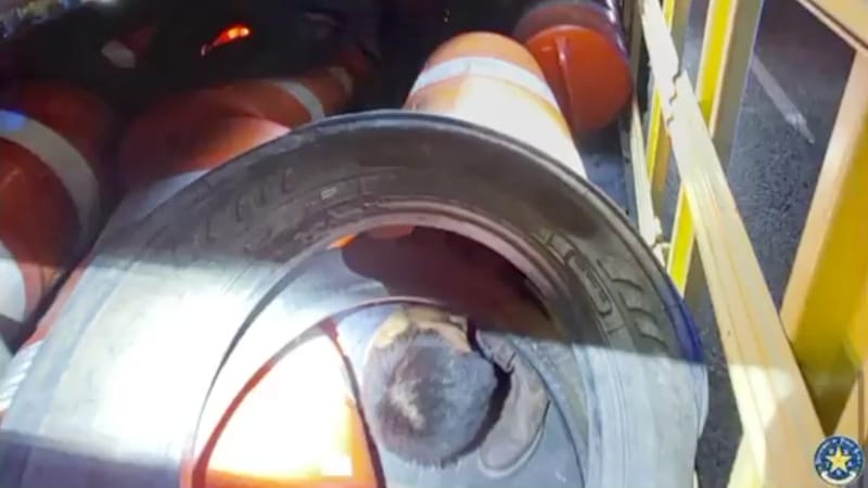 WATCH: Troopers Find Illegals Hiding Inside Traffic Cones on Construction Truck