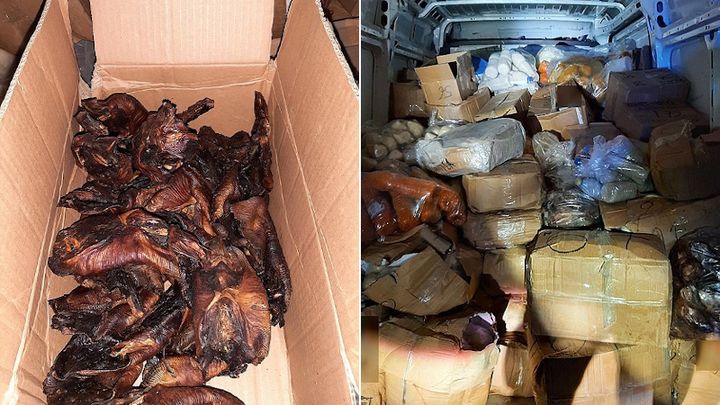 African Migrant Caught Bringing Fried Bats Into Germany