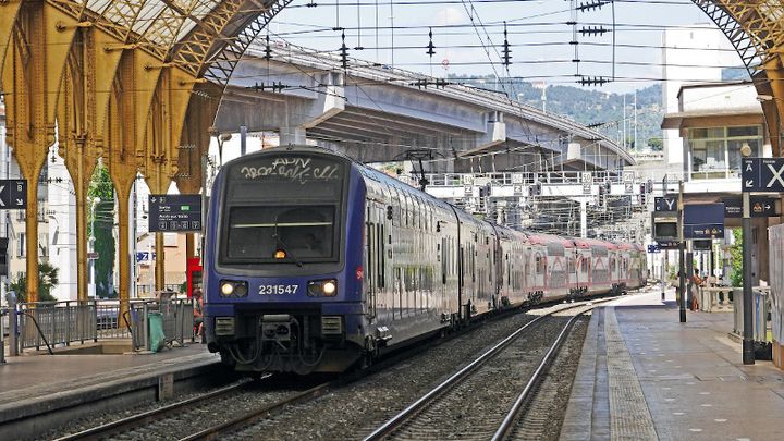 France: Elderly Victim Hit by Train After Being Shoved Off Platform by Illegal Migrant